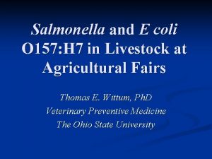 Salmonella and E coli O 157 H 7