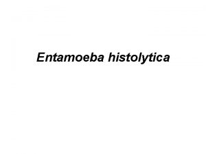 Patogenia de la amebiasis