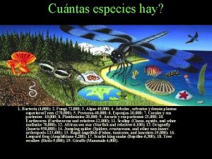 Cuntas especies hay 1 Bacteria 4 000 2