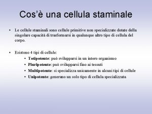 Cos una cellula staminale Le cellule staminali sono