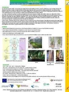 ECOLIRIMED Renaturation des berges Biodiversit Phytoremdiation Introduction Pour