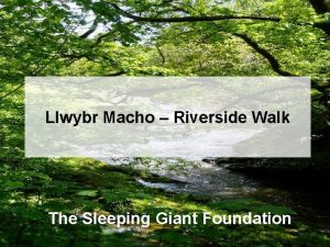 Llwybr Macho Riverside Walk The Sleeping Giant Foundation