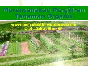 Merencanakan Pergiliran Tanaman Organik www penyuluhthl wordpress com