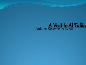 Write about a bird or animal in al talila nature reserve