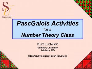 Pasc Galois Activities for a Number Theory Class