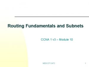 Routing Fundamentals and Subnets CCNA 1 v 3