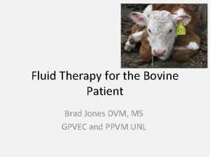 Fluid Therapy for the Bovine Patient Brad Jones