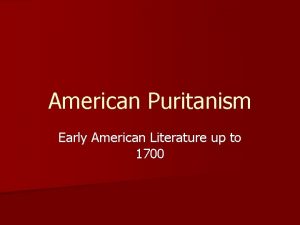 Puritans tulip