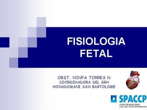 FISIOLOGIA FETAL OBST NINFA TORRES N COORDINADORA DEL