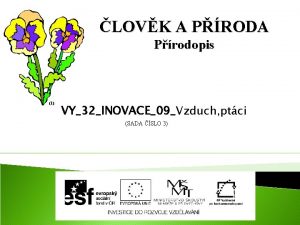 LOVK A PRODA Prodopis 1 VY32INOVACE09Vzduch ptci SADA