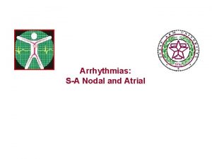 Arrhythmias SA Nodal and Atrial Rhythms from the