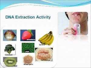 DNA Extraction Activity Why extract DNA from a