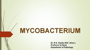 MYCOBACTERIUM Dr R S Gopika M D Hom