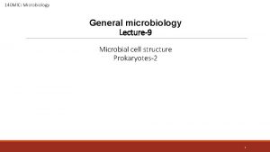 140 MIC Microbiology General microbiology Lecture9 Microbial cell