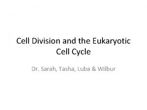 Cell Division and the Eukaryotic Cell Cycle Dr