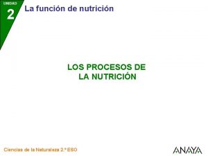 Nutricion en organismos heterotrofos