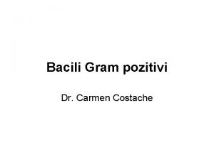 Bacili gram pozitivi