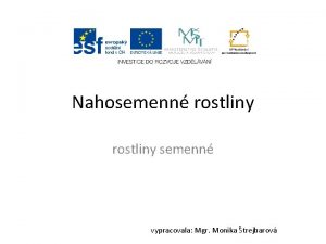 Nahosemenné rostliny