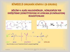 KM 0213 ORGANK KMYA I B GRUBU BLM