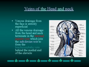 Veins of the Head and neck Venous drainage