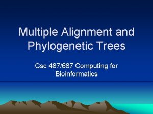 Multiple Alignment and Phylogenetic Trees Csc 487687 Computing