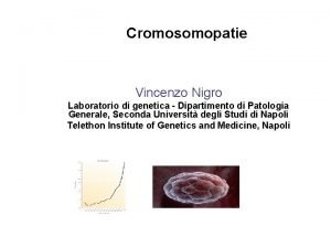 Cromosomopatie Vincenzo Nigro Laboratorio di genetica Dipartimento di