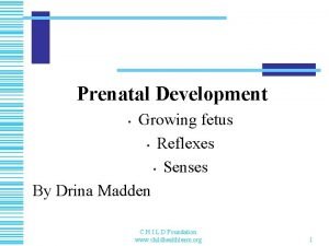 Prenatal Development Growing fetus Reflexes Senses By Drina