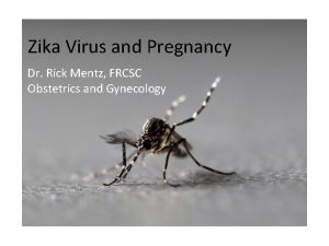 Zika Virus and Pregnancy Dr Rick Mentz FRCSC