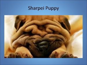 Sharpei Puppy The Nature of Science may be