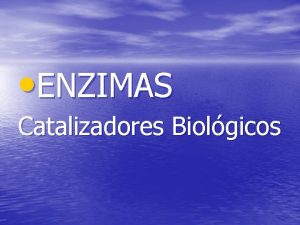 ENZIMAS Catalizadores Biolgicos Grfica de Actividad enzimtica ENZIMAS