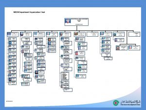 Hse department organization chart
