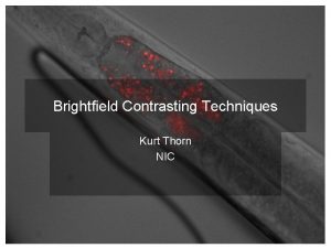 Brightfield Contrasting Techniques Kurt Thorn NIC Generating contrast