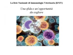 La Rete Nazionale di Immunologia Veterinaria RNIV Una
