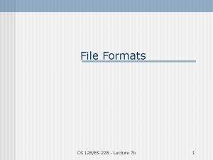 File Formats CS 128ES 228 Lecture 7 b