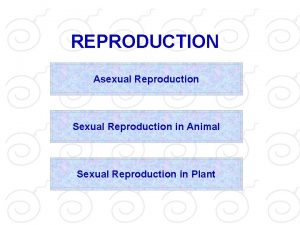REPRODUCTION Asexual Reproduction Sexual Reproduction in Animal Sexual