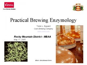 Coors Brewery Institute Practical Brewing Enzymology Tobin L