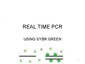 REAL TIME PCR USING SYBR GREEN 1 THE