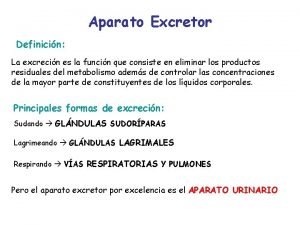 Aparato Excretor Definicin La excrecin es la funcin