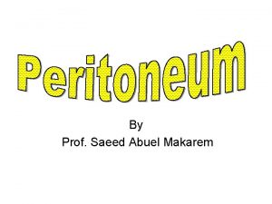 By Prof Saeed Abuel Makarem Peritoneum Thin serous