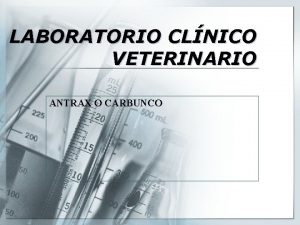 LABORATORIO CLNICO VETERINARIO ANTRAX O CARBUNCO Introduccin v