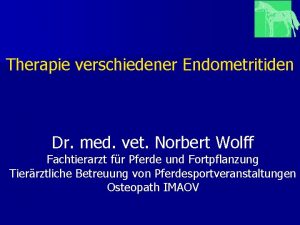 Therapie verschiedener Endometritiden Dr med vet Norbert Wolff