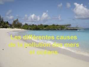Les diffrentes causes de la pollution des mers