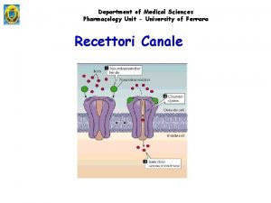 Proteine g