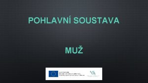 POHLAVN SOUSTAVA MU POHLAVN SOUSTAVA MUE ZAJIUJE TI