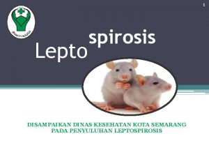 1 Lepto spirosis DISAMPAIKAN DINAS KESEHATAN KOTA SEMARANG