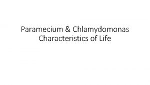 Characteristics of paramecium