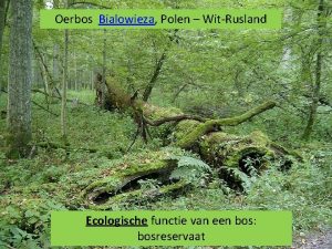 Oerbos frankrijk