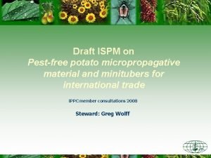 Draft ISPM on Pestfree potato micropropagative material and