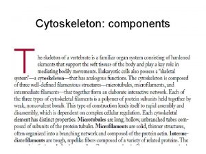 Treadmilling microtubules