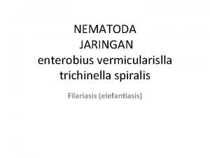 NEMATODA JARINGAN enterobius vermicularislla trichinella spiralis Filariasis elefantiasis